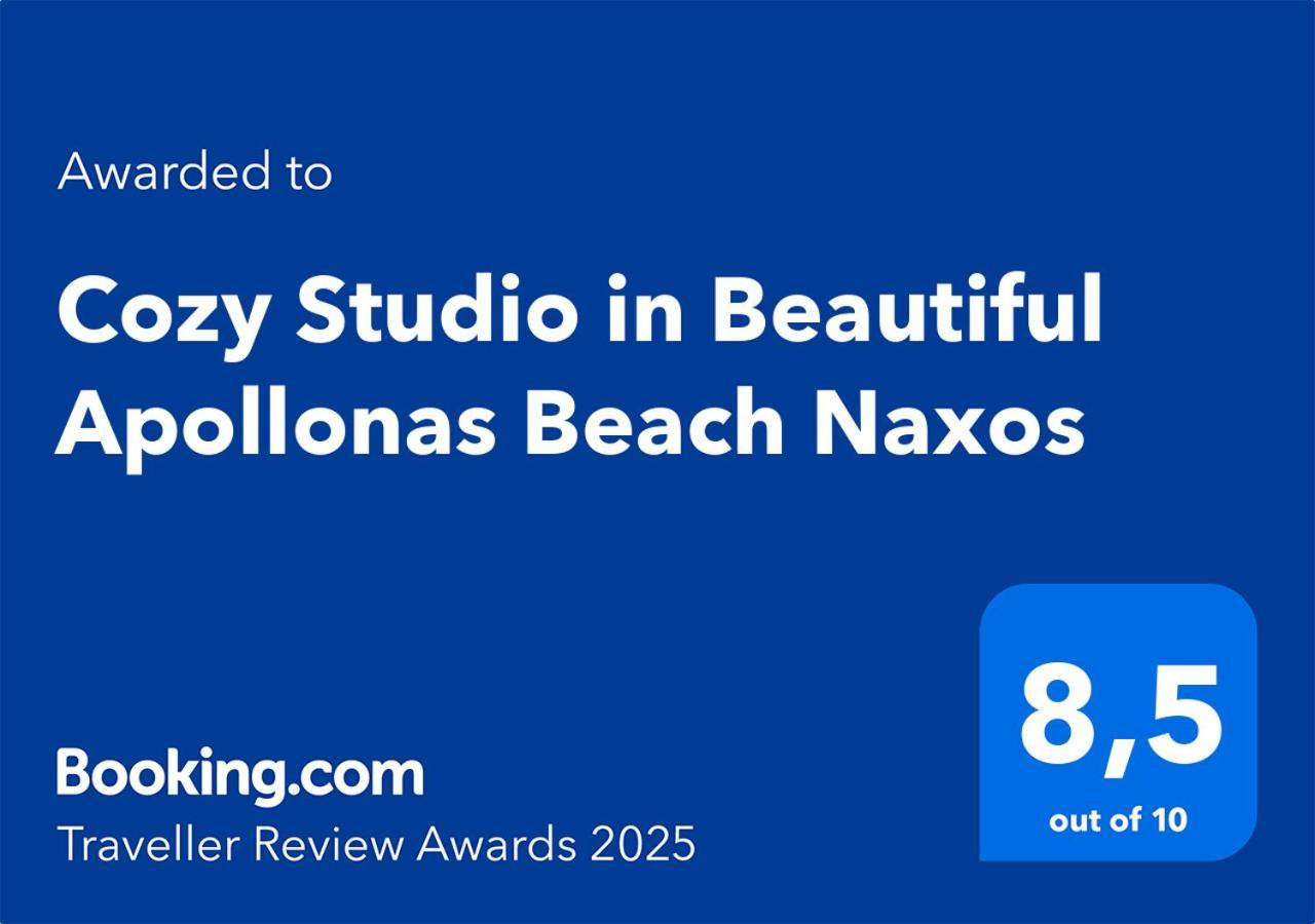 Cozy Studio In Beautiful Apollonas Beach Naxos Apollon  Exterior foto